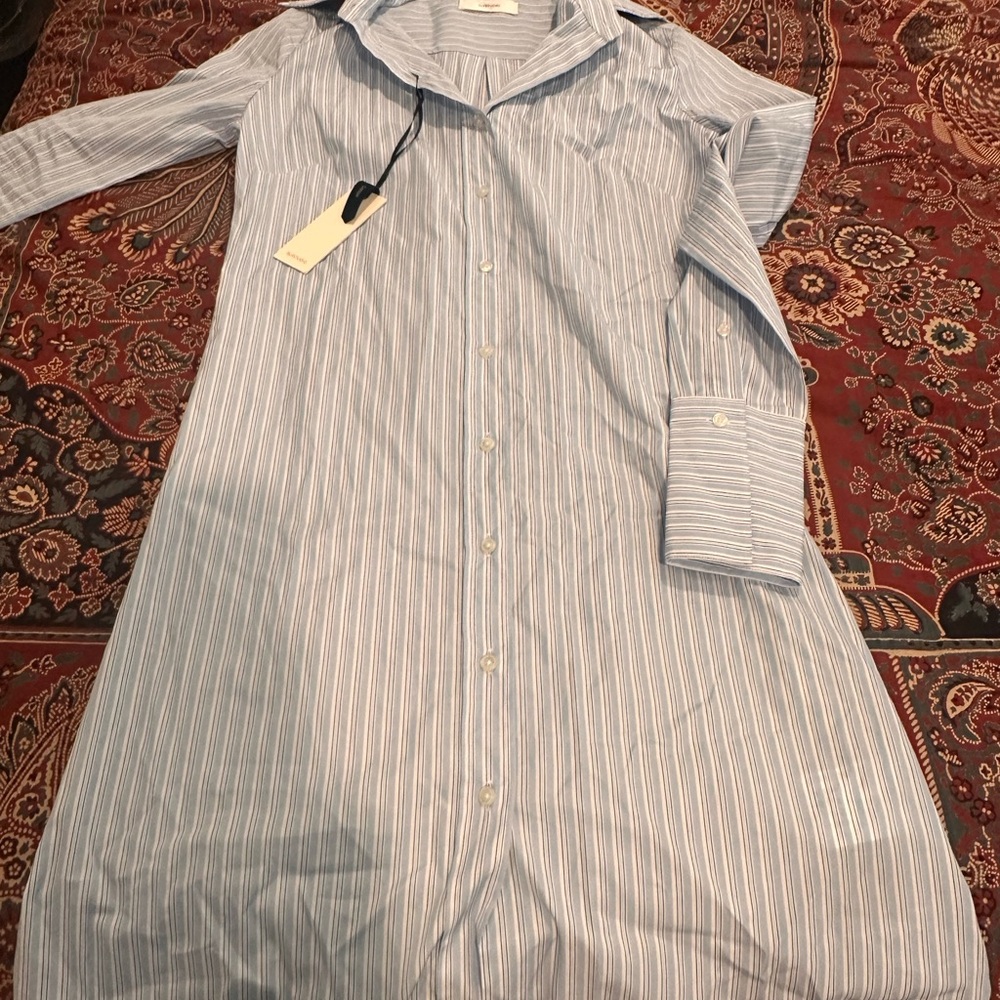 Suit Supply Blue Striped Button Down Shirt Dress